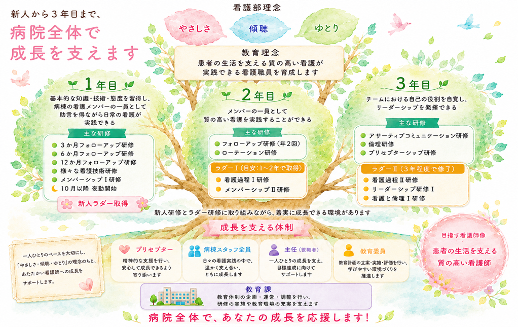 新人から3年目までの教育の流れと、成長を支える体制の図